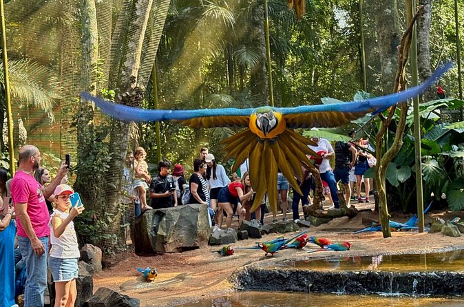 Private Tour Iguazu Falls Full Day Brazil with Bird Park - The boat adventure needs a closer look