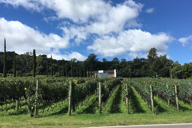 Private Tour of Family Wineries in Bento Gonçalves RS - Key points to know before booking
