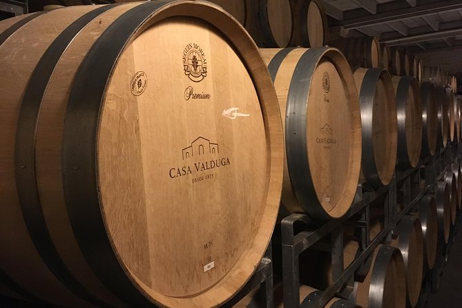 Private Tour of Family Wineries in Bento Gonçalves RS - Why Vale dos Vinhedos makes a good wine base