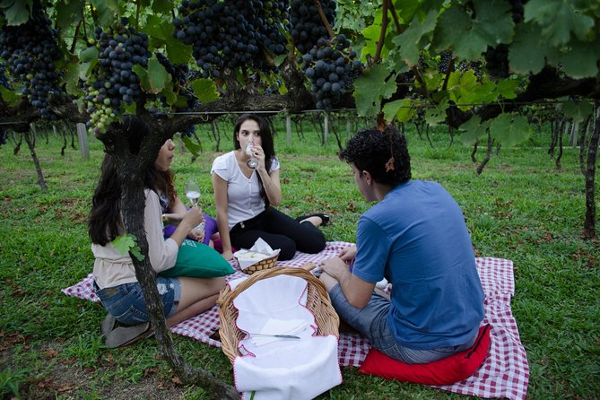 Private Tour of Family Wineries in Bento Gonçalves RS - Price and the real cost of a wine day