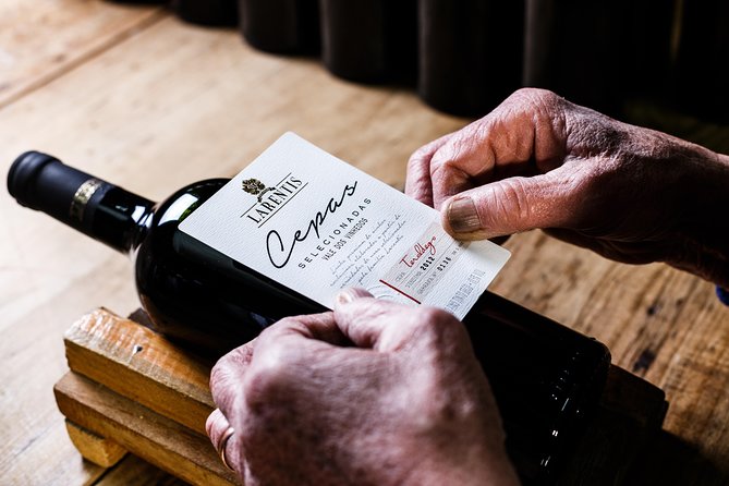 Private Tour of Family Wineries in Bento Gonçalves RS - What to expect at the start and end