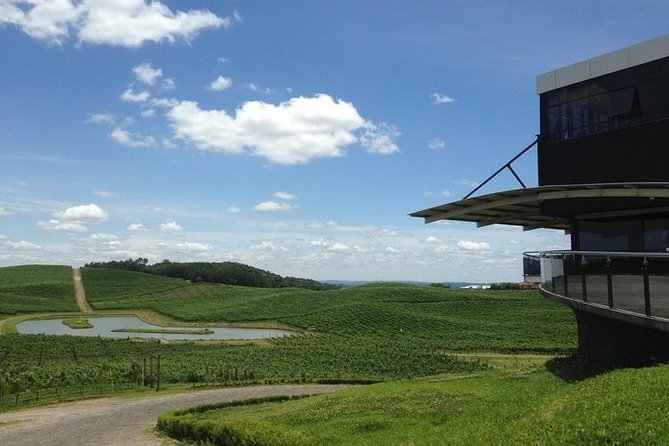 Private Tour of Luiz Argenta and 2 other Flores Cunha wineries - Why this Flores da Cunha wine route works