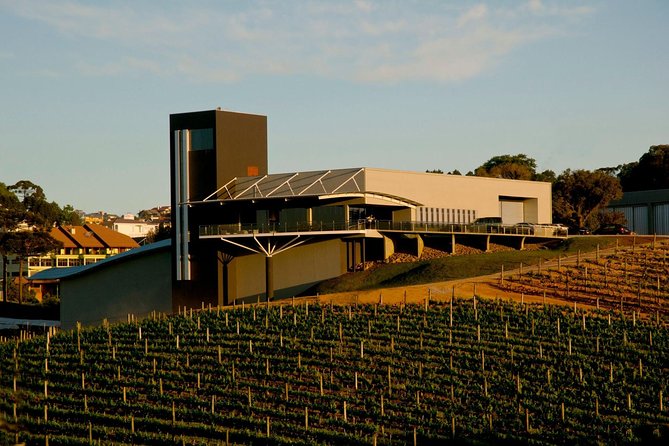 Private Tour of Luiz Argenta and 2 other Flores Cunha wineries - Is six hours enough for four wineries?