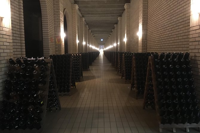 Private Tour of the Largest Wineries in Bento Gonçalves RS - What makes Salton and Valduga useful stops