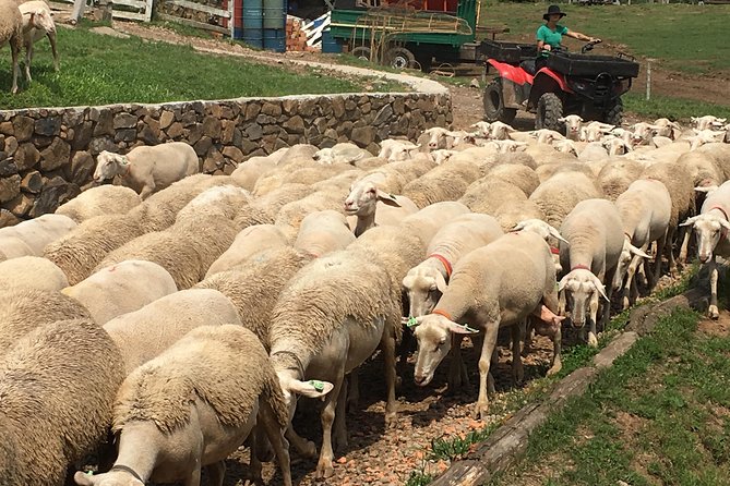 Private tour on Caminhos de Pedra in Bento Gonçalves RS - FAQ