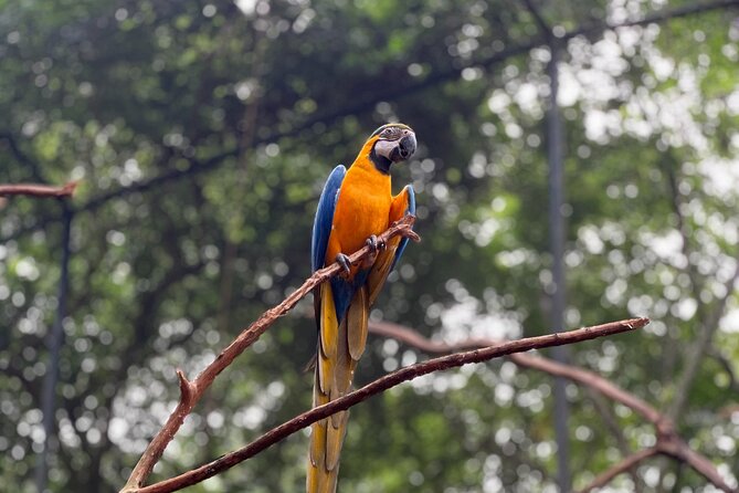 Private tour to Argentine and Brazilian Falls - What the private format is really worth