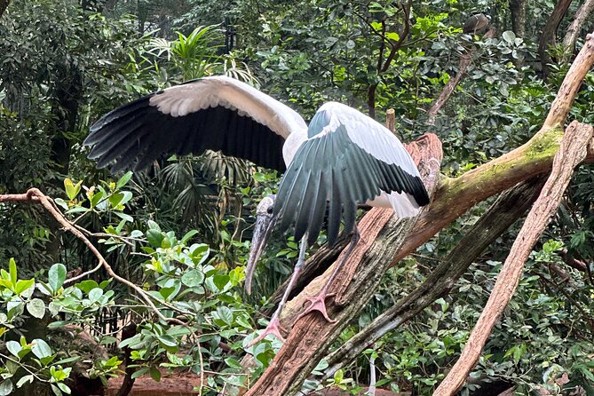 Private tour to Argentine and Brazilian Falls - How Julio shapes the experience