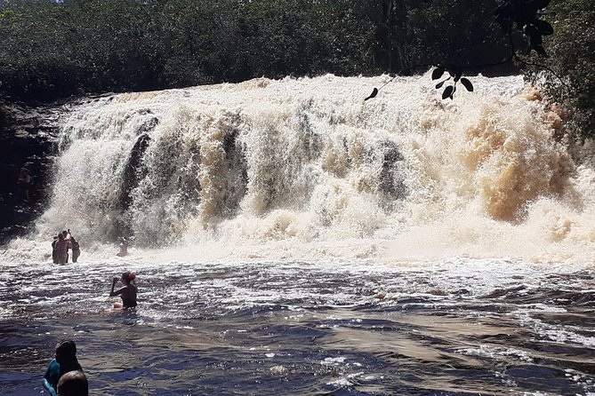 Private Tour Waterfalls Iracema & Asframa President Figueiredo - Leaving Manaus for Presidente Figueiredo
