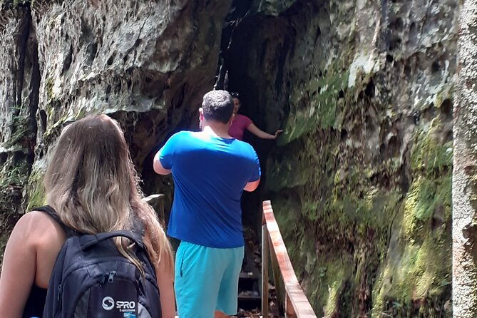 Private Tour Waterfalls Iracema & Asframa President Figueiredo - Who will enjoy this waterfall day most?