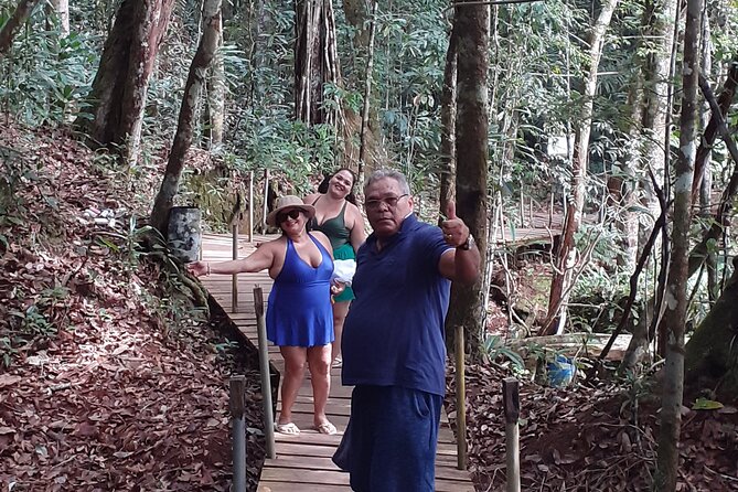 Private Tour Waterfalls Iracema & Asframa President Figueiredo - Iracema Waterfall and its forest approach