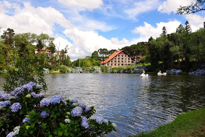 Private Transfer DE Porto Alegre to Gramado and Canela-RS - Why a private airport ride makes sense