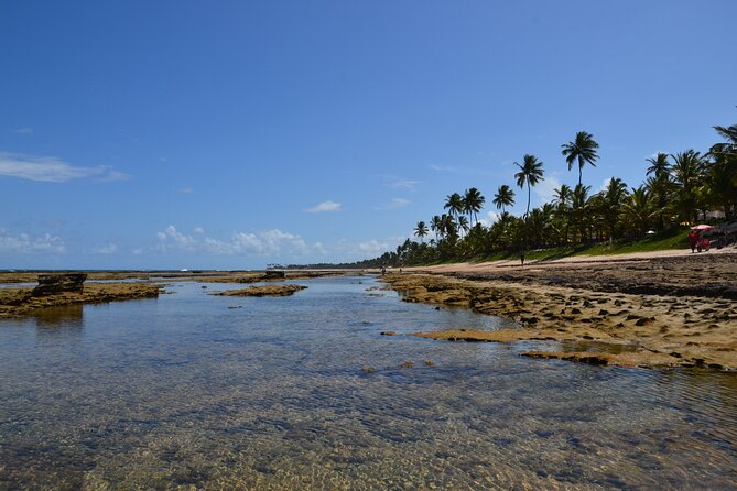 Private Transfer from Porto de Galinhas to Recife Airport - A practical ride between Porto de Galinhas and Recife