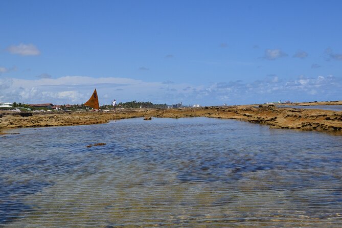 Private Transfer from Porto de Galinhas to Recife Airport - What the 50-minute journey includes