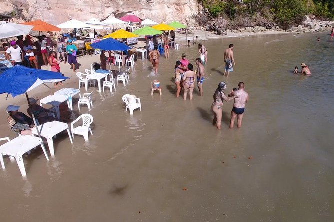 Private Transfer from Recife Airport to Praia dos Carneiros - Who gets the best value from the $52.97 fare