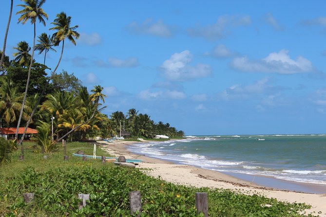 Private Transfer from Recife Airport to Serrambi By RECIFE TRANSLADO - Meeting your driver and managing flight changes