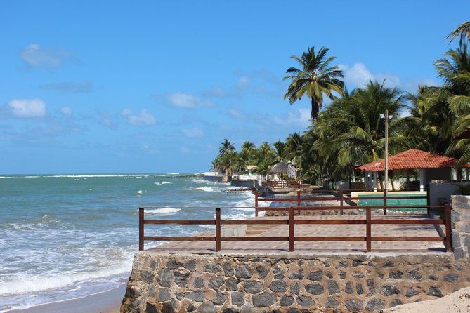 Private Transfer from Recife Airport to Serrambi By RECIFE TRANSLADO - What the vehicle and service standards mean