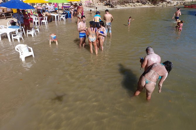 Private Transfer from Recife Airport to Tamandaré - The beach route and what you may see