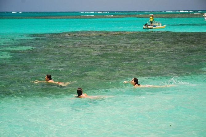 Private Transfer from Recife to Maragogi 01 to 06 Pax by Geotur Receptives - Key points to know before booking