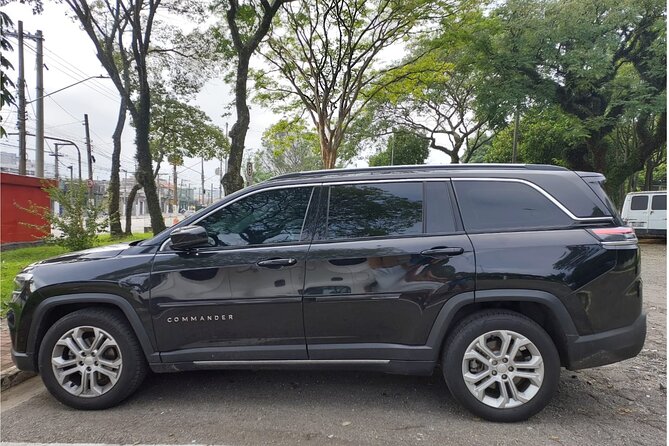 Private Transfer: GRU Airport to Sao Paulo City up to 15 People - Who Should Book This Service