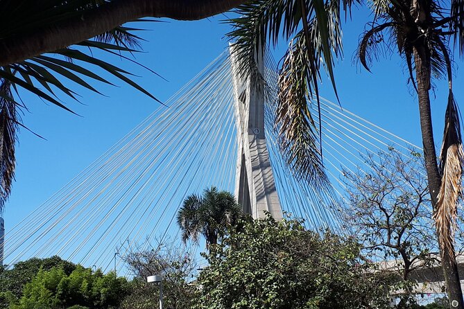 Private Transfer São Paulo Airport to Hotels with Quick City Tour - A 40-minute to 90-minute ride with room to breathe
