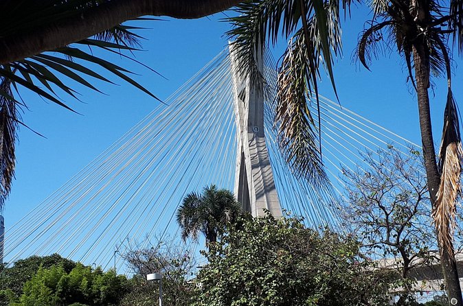 Private Transfer São Paulo Airport to Hotels with Quick City Tour - Local tips from a driver who knows Sampa