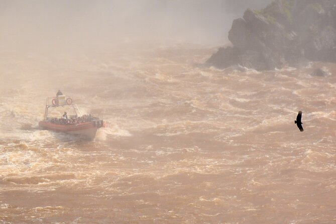 Private transport with guide to the Falls on the Argentinean side. - Hotel pickup makes the border crossing simpler