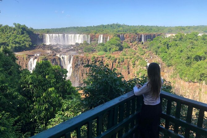 Private Transportation to Brazilian Waterfalls and Bird Park - Timing, walking, and who should book