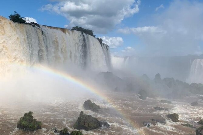 Private Transportation to Brazilian Waterfalls and Bird Park - Starting at Iguacu National Park
