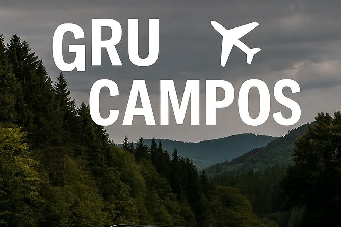 Private Transportation to Campos do Jordão – Premium Experience - Choosing between a Sedan, SUV, and six-seat SUV