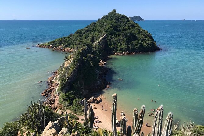 Private walk through Mangue de Pedras and Ponta do Pai Vitório - Starting at Rua Carlito Gonçalves