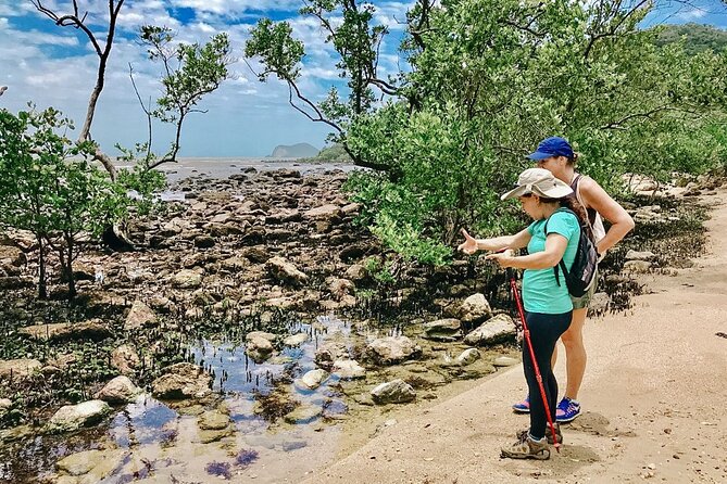 Private walk through Mangue de Pedras and Ponta do Pai Vitório - Exploring around the point