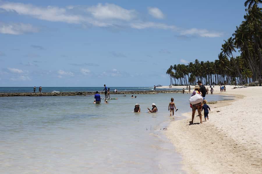 Recife: Carneiros Beach Day Tour - Five things to know before you go
