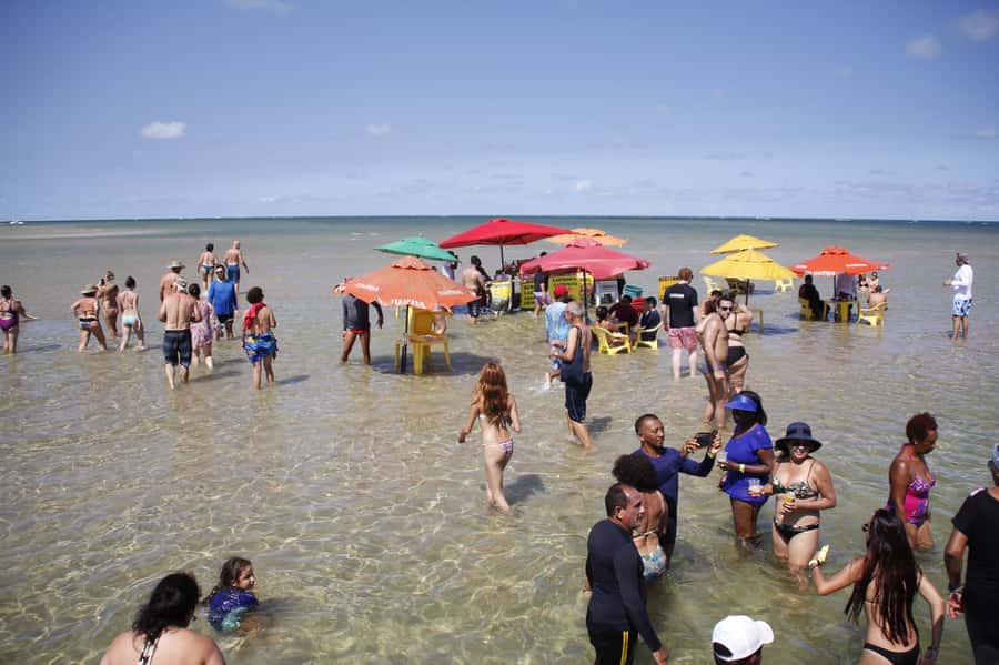 Recife: Carneiros Beach Day Tour - Swimming, walking, and the coconut-lined shore