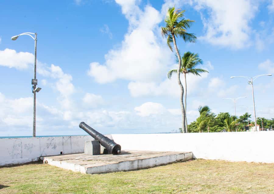 Recife: City Tour Recife & Olinda - Key points to know before booking