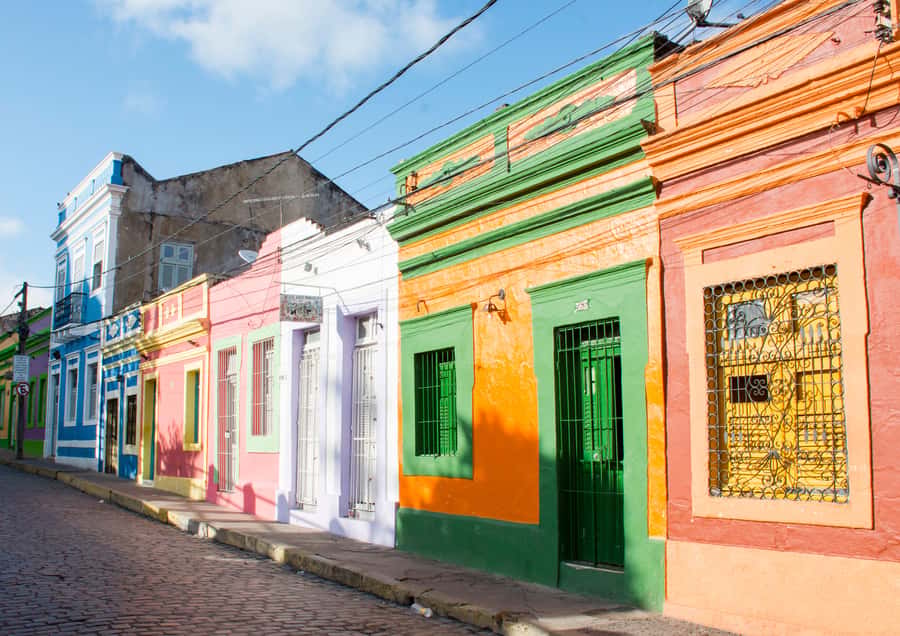 Recife: City Tour Recife & Olinda - The giant dolls and Olinda Carnival