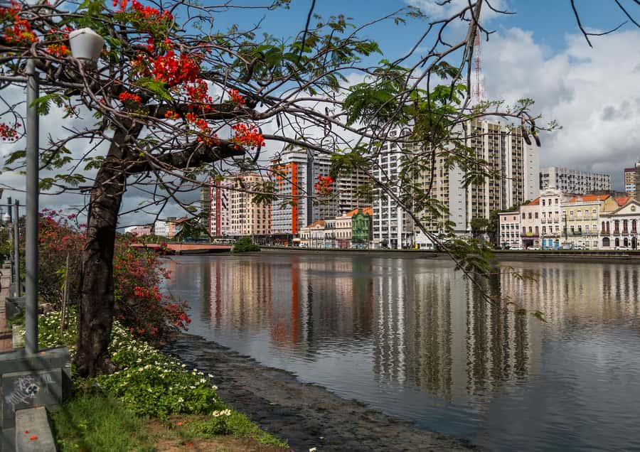 Recife: City Tour Recife & Olinda - Pickup, timing, and the risks to manage
