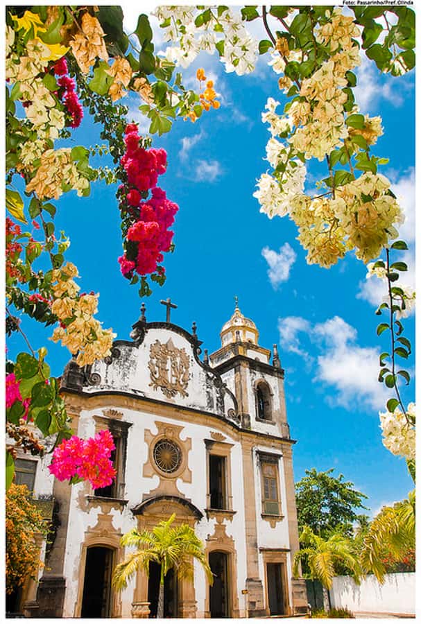 Recife & Olinda City Tour: Unveiling the Charm of Two Cities - Starting in Boa Viagem and heading through Recife