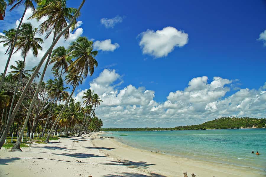 Recife: Tour to Carneiros with Catamaran Ride - The road from Recife to Carneiros Beach