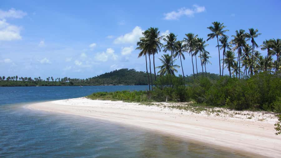 Recife: Tour to Carneiros with Catamaran Ride - What the catamaran ride adds