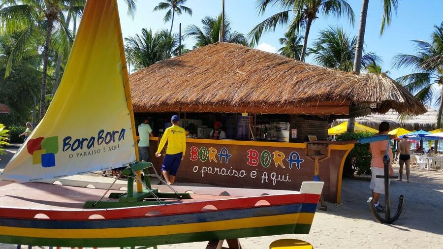 Recife: Tour to Carneiros with Catamaran Ride - Practical tips for a smoother outing