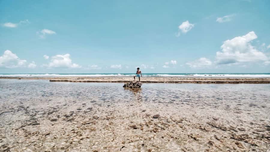 Recife: Tour to Porto de Galinhas - Key points to know before booking