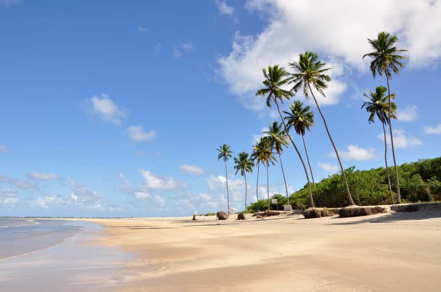 Recife: Tour to Porto de Galinhas - Why Porto de Galinhas makes a good day from Recife
