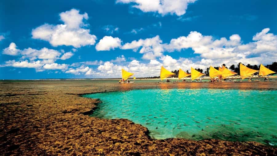 Recife: Tour to Porto de Galinhas - Four hours beside Porto de Galinhas