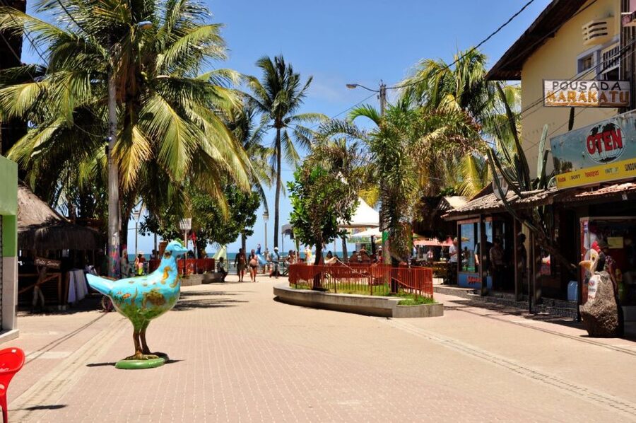 Recife: Tour to Porto de Galinhas - Who will enjoy this beach day most