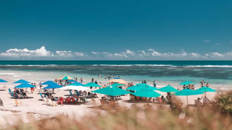 Recife: Tour to Porto de Galinhas - Practical preparation for the eight-hour outing