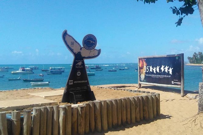 Regular Tour to Forte Beach - Leaving Salvador by Bahia Top Turismo - Guarajuba Beach gives you the longest pause