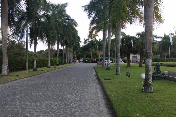 Ricardo Brennand Institute with Transfer from Recife - The library and the quieter side of the museum