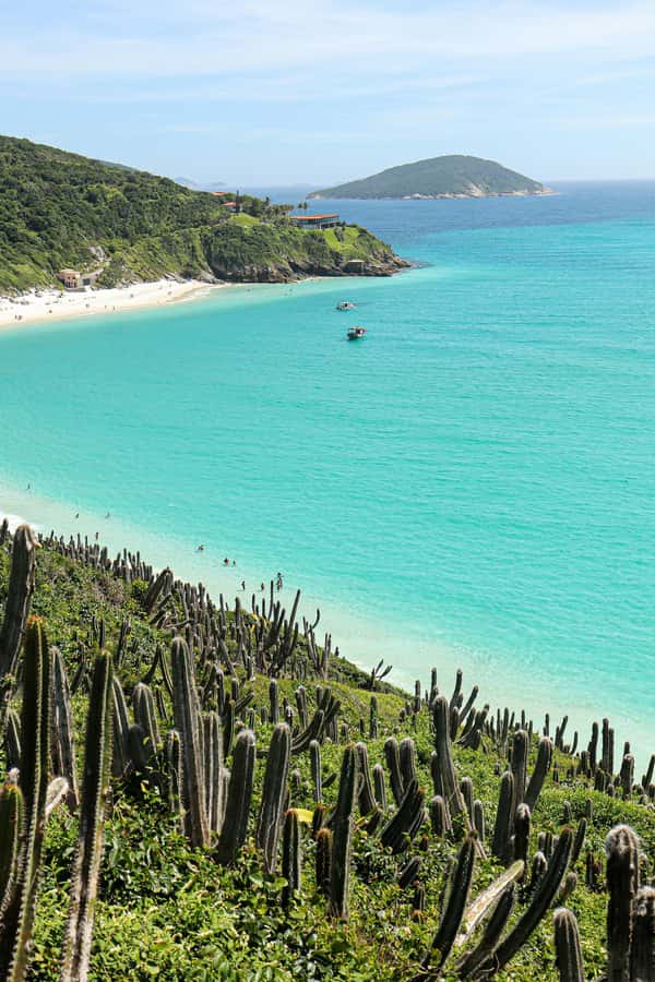 Rio: Best Dive Experience All Inclusive Scuba Diving Package - Weather, safety, and who should skip it