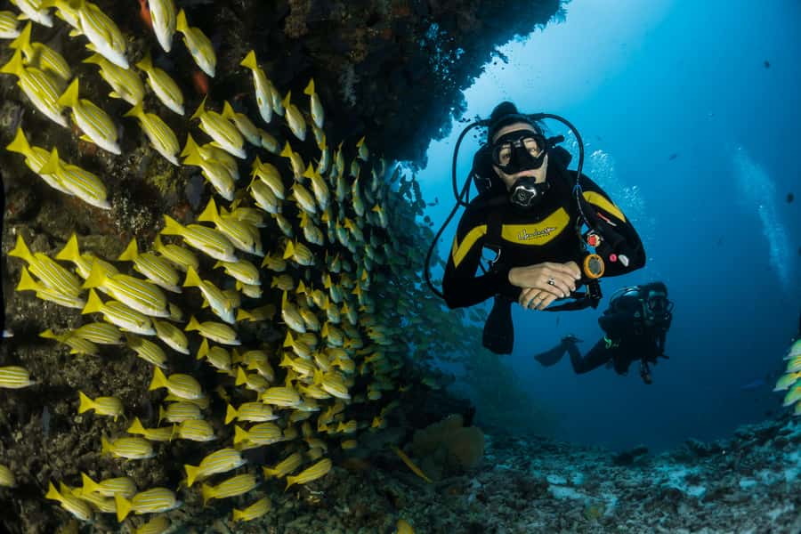 Rio: Best Dive Experience All Inclusive Scuba Diving Package - Hotel pickup makes a complicated day simpler