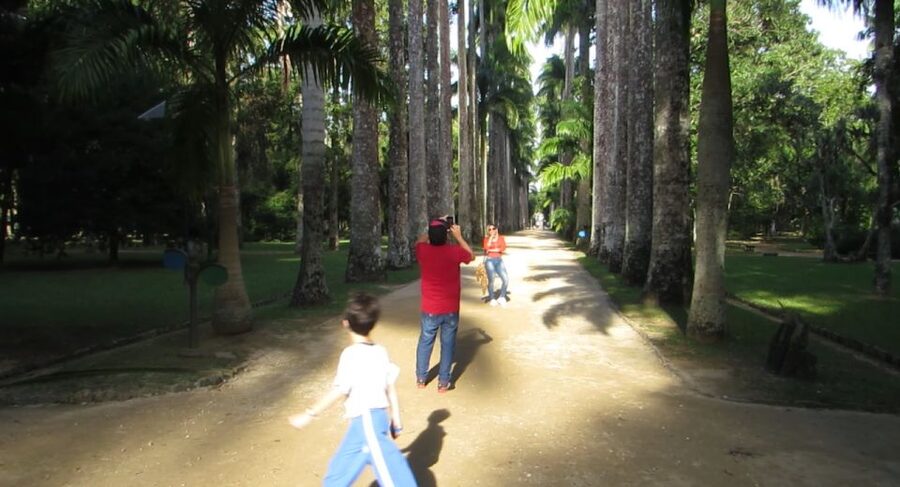 Rio: Botanical Garden, Tijuca Forest, and Parque Lage Tour - Final decision: should you book it?